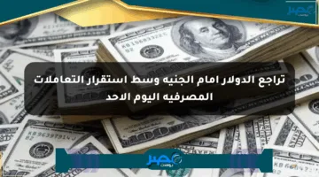 تراجع الدولار أمام الجنيه وسط استقرار التعاملات المصرفية اليوم الأحد